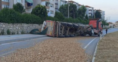 TIR devrildi, yol kapandı
