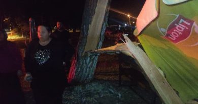 Tonlarca ağırlığındaki çam ağacı ailenin üzerine devrildi