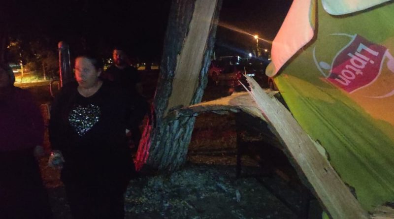 Tonlarca ağırlığındaki çam ağacı ailenin üzerine devrildi