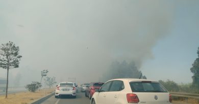 Yol kenarında çıkan yangın, sürücülere zor anlar yaşattı