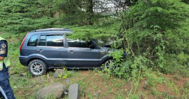Yoldan çıkan otomobil ağaca çarpttı: 2'si çocuk 7 yaralı