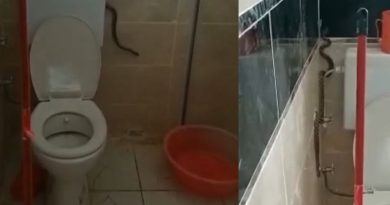 Yüzünü yıkamak istedi, banyosunda yılanla karşılaştı