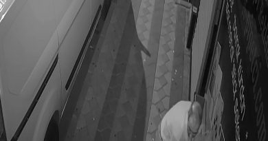 Zeytinburnu ve Sultangazi’de çiçek hırsızlığı kamerada